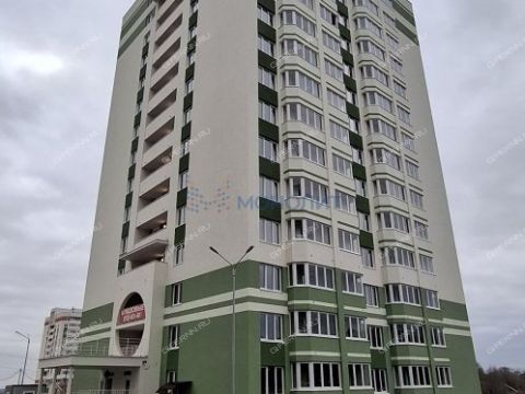 1-komnatnaya-derevnya-afonino-kstovskiy-rayon фото