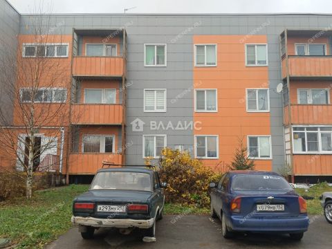 1-komnatnaya-derevnya-berezovka-bogorodskiy-municipalnyy-okrug фото