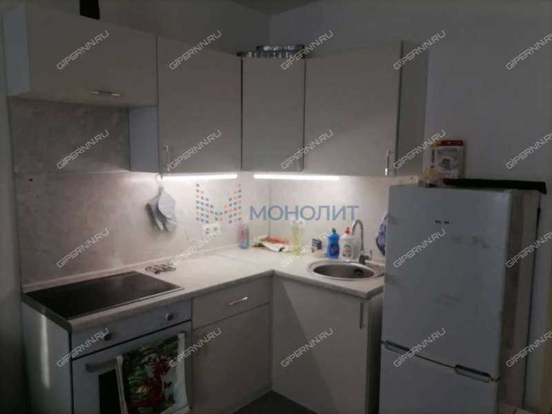 квартира-студия на Русской улице улице дом 3 деревня Анкудиновка