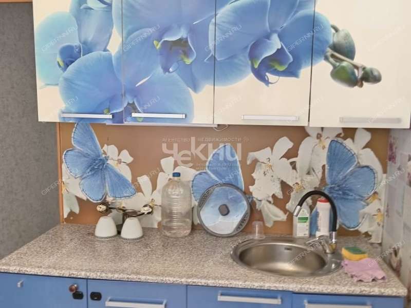 двухкомнатная квартира на Молодёжной улице дом 9 село Зиняки