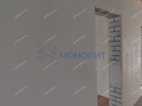 dom-selo-efimevo-bogorodskiy-municipalnyy-okrug фото