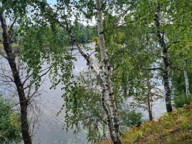 земельный участок 15 соток село Каменка