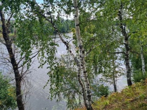 selo-kamenka-vorotynskiy-gorodskoy-okrug фото