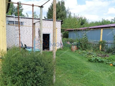 gorodskoy-okrug-bor-gorodskoy-okrug-bor фото
