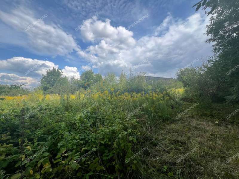 земельный участок 11 соток - село Федяково