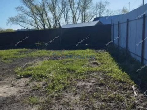 selo-revezen-perevozskiy-gorodskoy-okrug фото