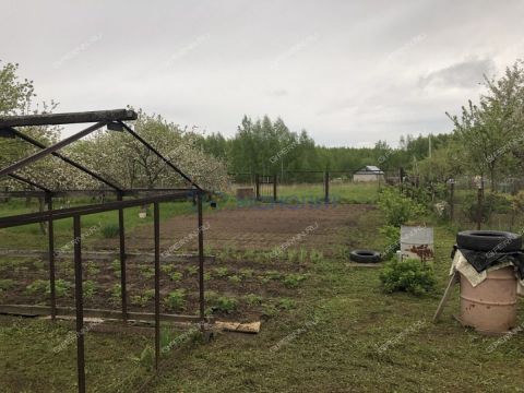 dacha-selo-sheloksha-kstovskiy-rayon фото