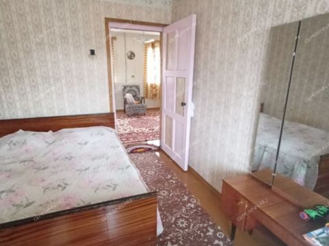 dacha-derevnya-novaya-vladimirovka-dalnekonstantinovskiy-rayon фото
