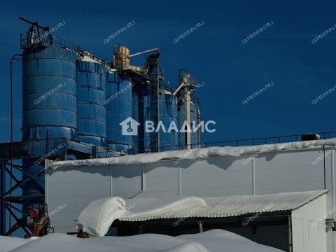 selo-chernuha-gorodskoy-okrug-arzamas фото