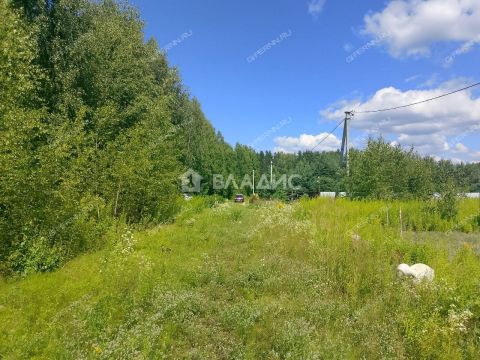 derevnya-inyutino-bogorodskiy-municipalnyy-okrug фото