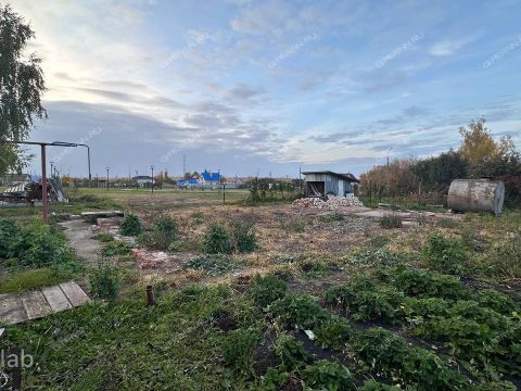 selo-bezvodnoe-kstovskiy-rayon фото