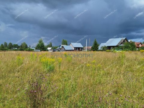 selo-linda-gorodskoy-okrug-bor фото