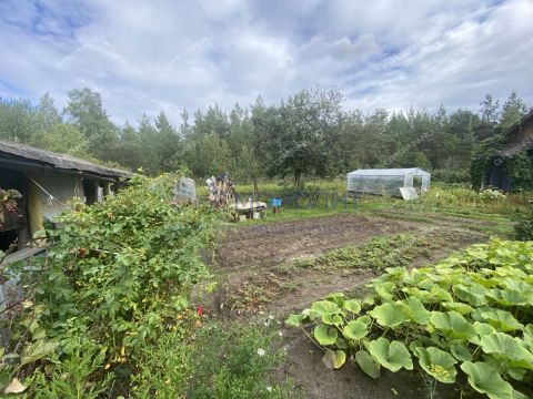 dacha-snt-berezka фото