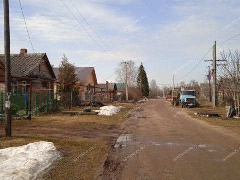 derevnya-rozhnovo-gorodskoy-okrug-bor фото