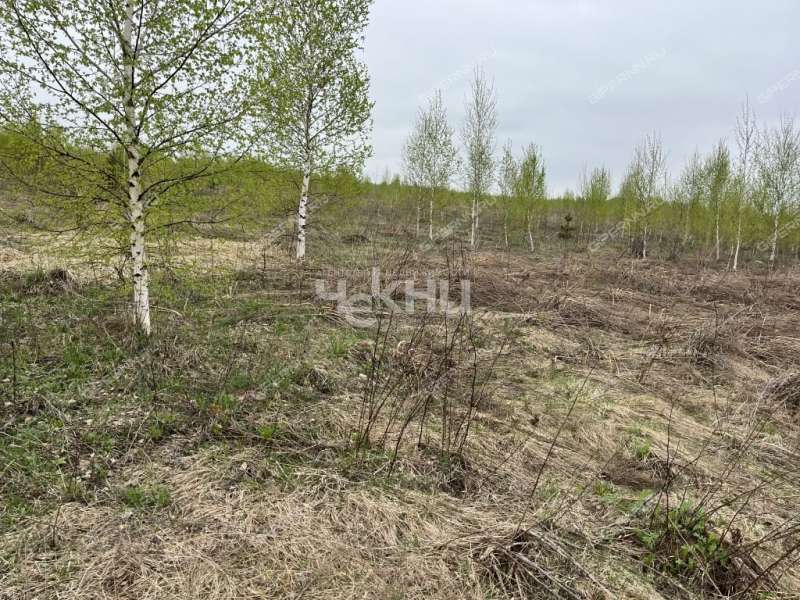 земельный участок 10 соток посёлок Мирный