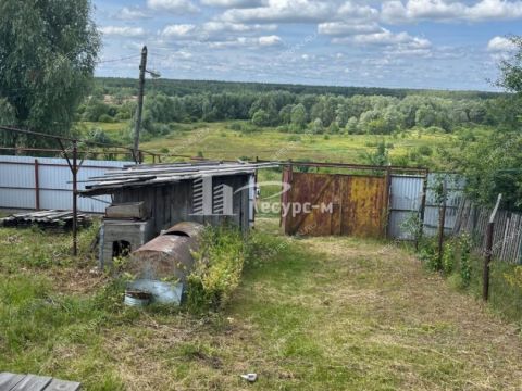 dom-rabochiy-poselok-doschatoe-gorodskoy-okrug-vyksa фото
