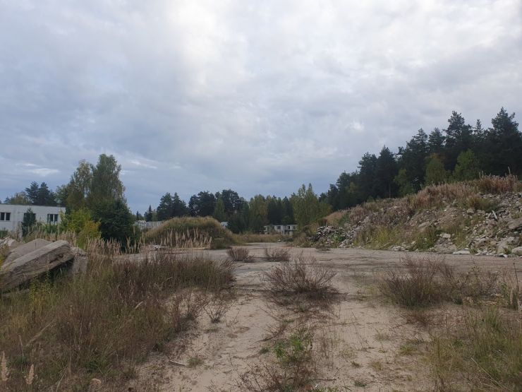 Фото: Ксения Ражева