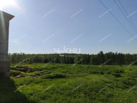 derevnya-mednikovo-gorodskoy-okrug-chkalovsk фото