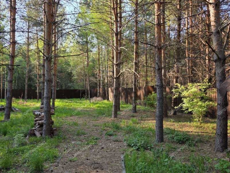 дом на улице Лесная деревня Александровка