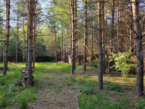 dom-derevnya-aleksandrovka-dalnekonstantinovskiy-rayon фото