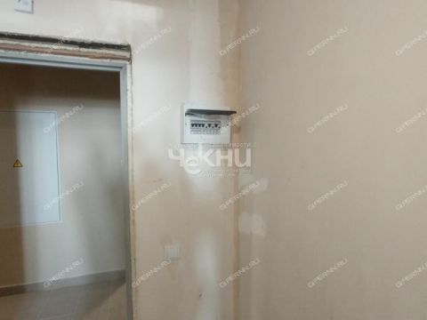 1-komnatnaya-derevnya-afonino-kstovskiy-rayon фото