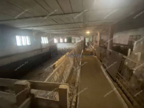 selo-bolshaya-elnya-kstovskiy-rayon фото