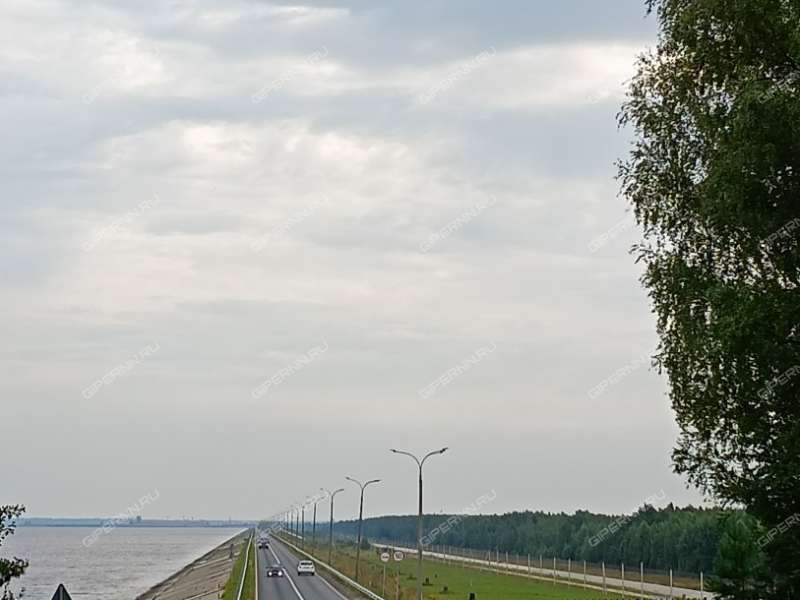 земельный участок под сельхоз назначение в городском округе Чкаловск Нижегородской области
