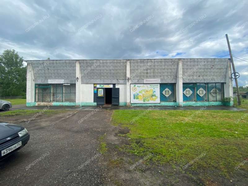 готовый бизнес магазин+кафе в городском округе Шахунья Нижегородской области