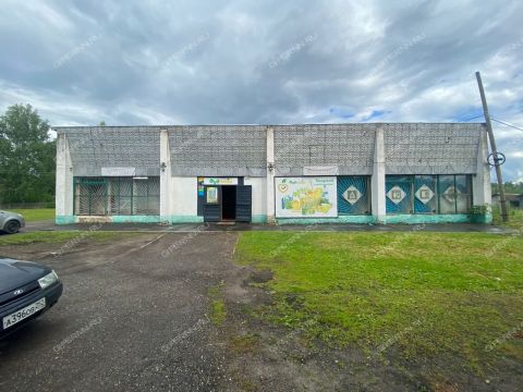 poselok-luzhayki-gorodskoy-okrug-shahunya фото