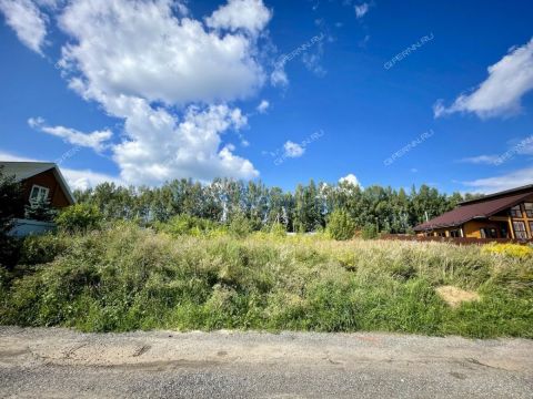 derevnya-shumilovo-bogorodskiy-municipalnyy-okrug фото