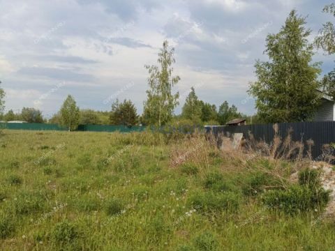 selo-kamenki-bogorodskiy-municipalnyy-okrug фото