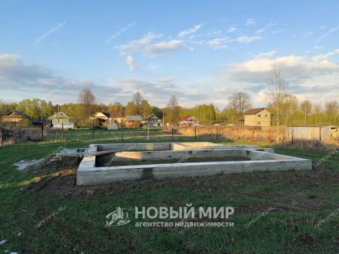 kottedzh-derevnya-tushnino-gorodskoy-okrug-bor фото