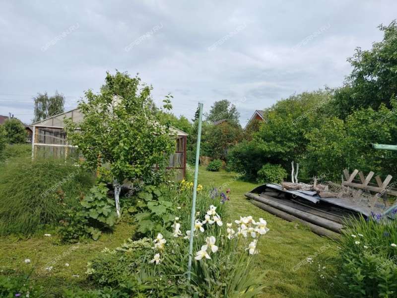 дом на Ровной улице