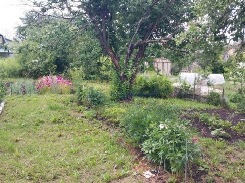 dacha-zarya-3-selo-redkino-redkinskiy-selsovet-ter-snt-gorodskoy-okrug-bor фото