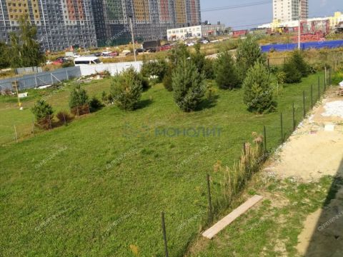 derevnya-ankudinovka-kstovskiy-rayon фото