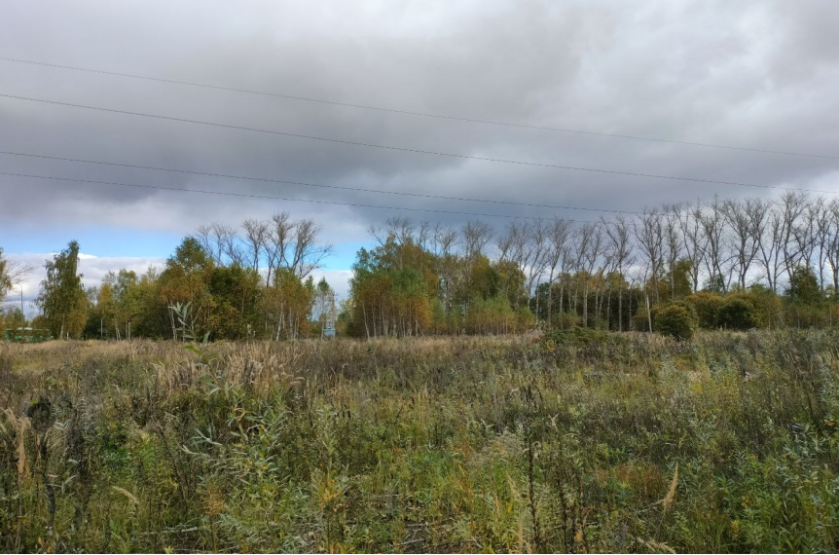 Фото: земля.дом.рф