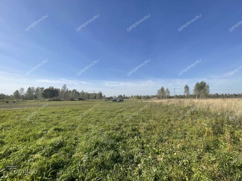 земельный участок под коммерческое использование в Кстовском районе Нижегородской области