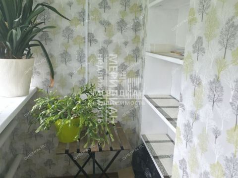 dom-ul-andreeva-d-43 фото