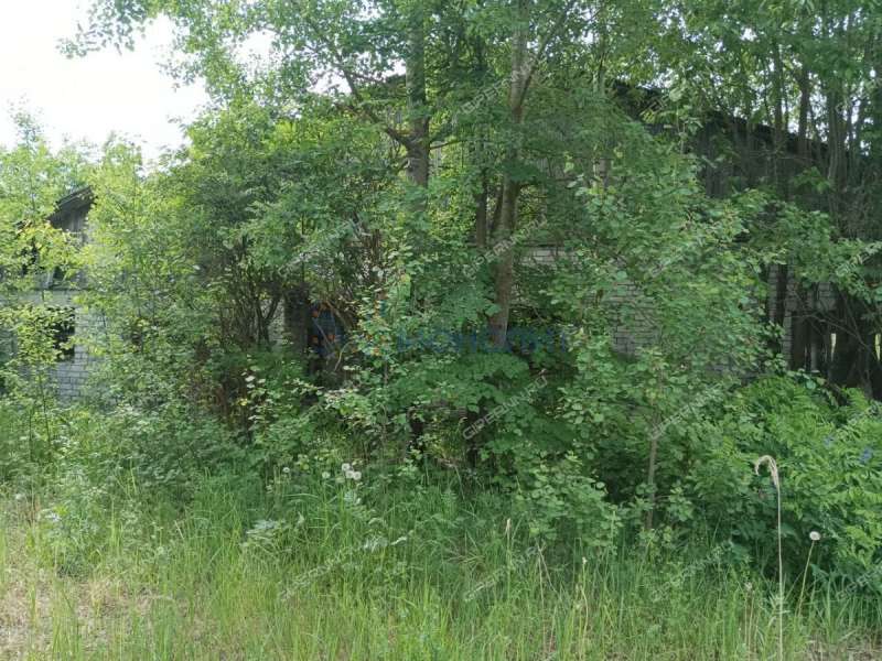 имущественный комплекс под производственную площадь на Новой улице село Строчково