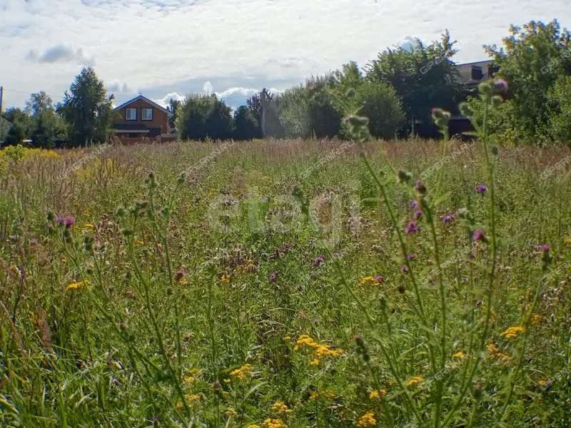 земельный участок 13,1 сотки улица Черкасский Порядок село Афанасьево