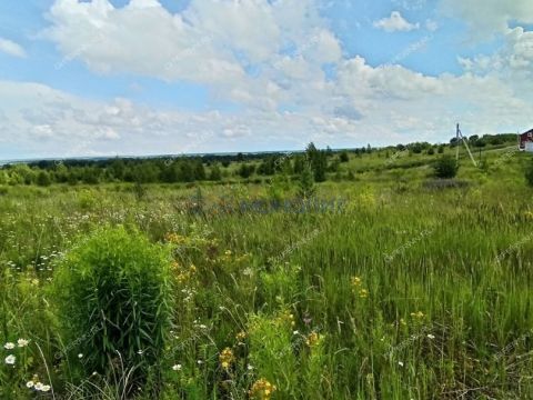 selo-efimevo-bogorodskiy-municipalnyy-okrug фото