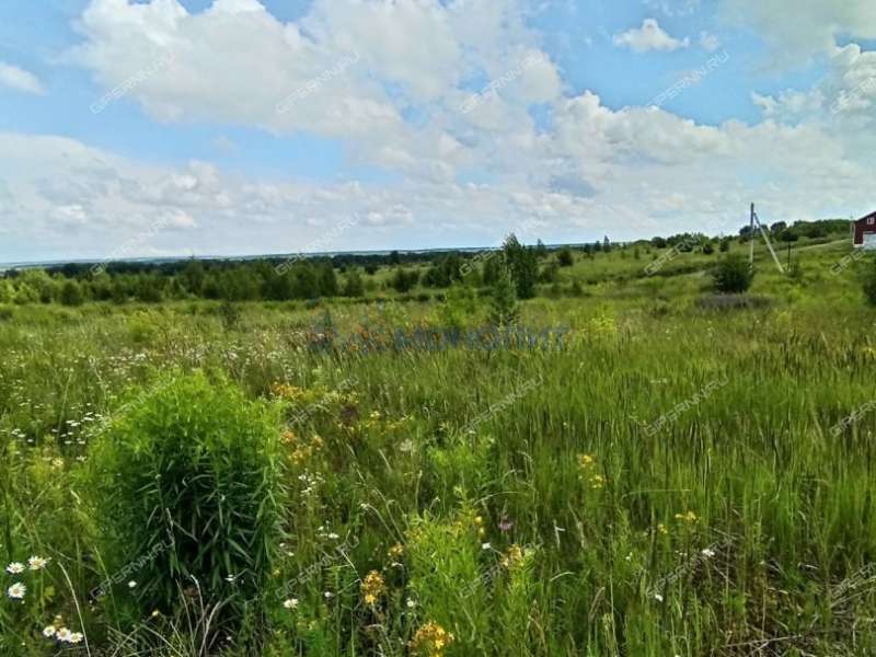 земельный участок 10 соток Ясная улица село Ефимьево