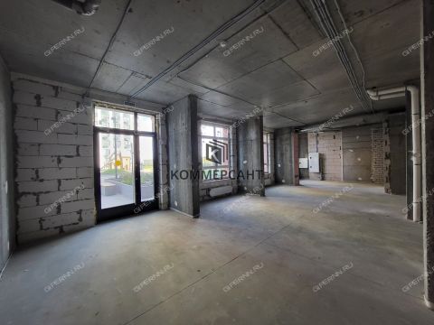 ul-2-ya-oranzhereynaya-d-4a фото