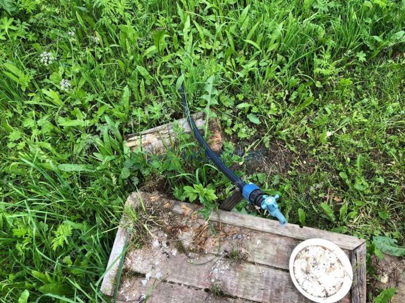 земельный участок 12 соток Озерное (деревня Оринкино) тер. СНТ