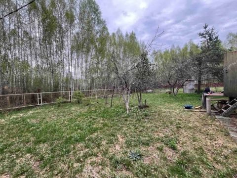bor-gorodskoy-okrug-bor фото
