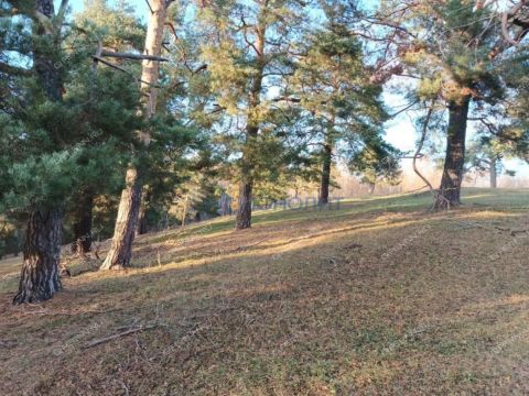 sadovodcheskoe-tovarishhestvo-luch-2-ter-kstovskiy-rayon фото