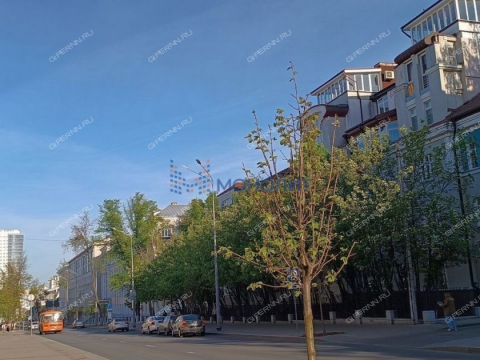 3-komnatnaya-ul-minina-d-29 фото