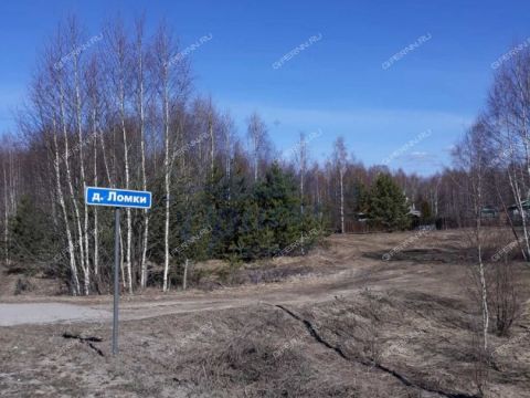 derevnya-lomki-gorodeckiy-rayon фото