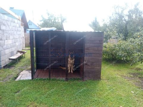 dacha-snt-pmk-246-balahninskiy-municipalnyy-okrug фото