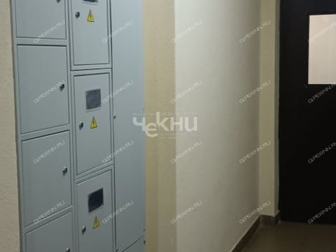 2-komnatnaya-ul-2-ya-dorozhnaya-d-4 фото